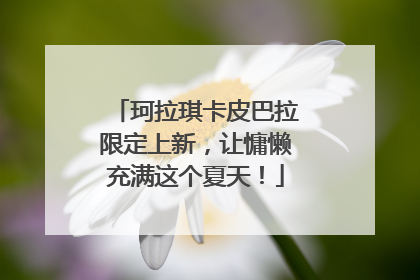 珂拉琪卡皮巴拉限定上新，让慵懒充满这个夏天！