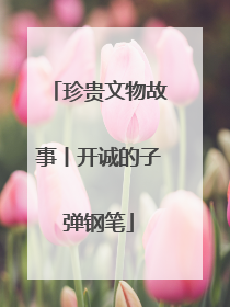 珍贵文物故事丨开诚的子弹钢笔