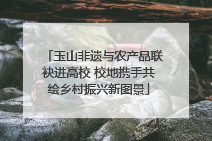 玉山非遗与农产品联袂进高校 校地携手共绘乡村振兴新图景