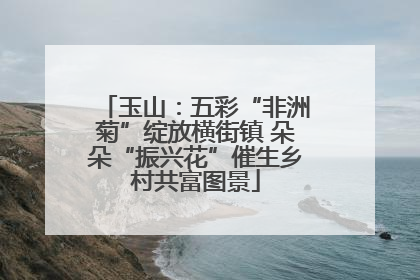 玉山：五彩“非洲菊”绽放横街镇 朵朵“振兴花”催生乡村共富图景