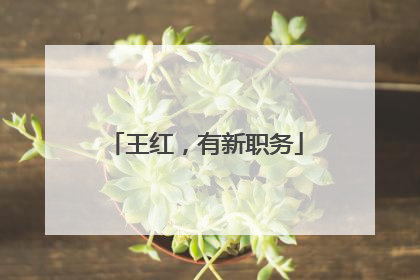 王红，有新职务