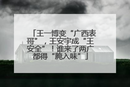 王一博变“广西表哥”，王安宇成“王安全”！谁来了两广都得“腌入味”