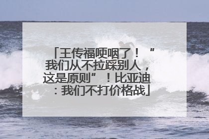 王传福哽咽了！“我们从不拉踩别人，这是原则”！比亚迪：我们不打价格战