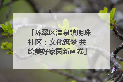 环翠区温泉镇明珠社区：文化筑梦 共绘美好家园新画卷