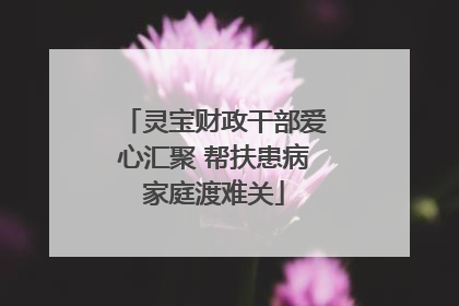 灵宝财政干部爱心汇聚 帮扶患病家庭渡难关