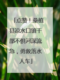 点赞！桑植县凉水口镇干部不惧河深流急，勇救落水人车