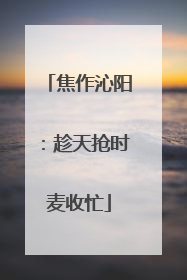 焦作沁阳：趁天抢时麦收忙