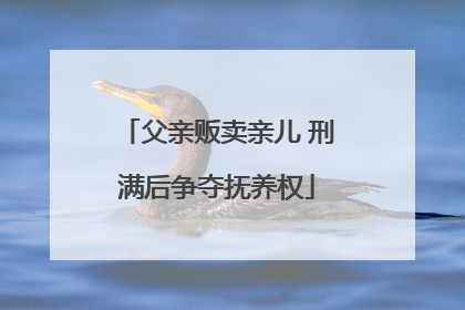 父亲贩卖亲儿 刑满后争夺抚养权