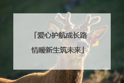 爱心护航成长路 情暖新生筑未来