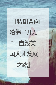 特朗普向哈佛“开刀” 自毁美国人才发展之路
