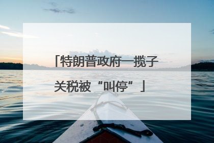 特朗普政府一揽子关税被“叫停”