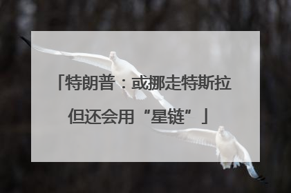 特朗普：或挪走特斯拉 但还会用“星链”