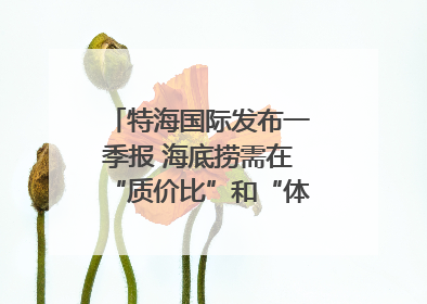 特海国际发布一季报 海底捞需在“质价比”和“体验感”中找到平衡｜新经济观察