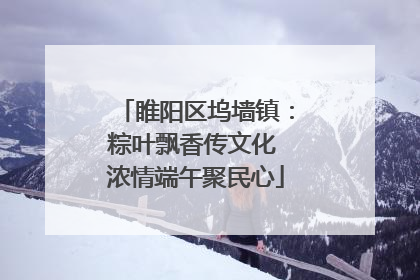 睢阳区坞墙镇：粽叶飘香传文化 浓情端午聚民心