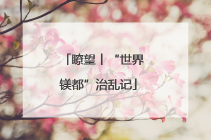瞭望丨“世界镁都”治乱记