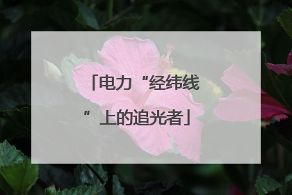 电力“经纬线”上的追光者