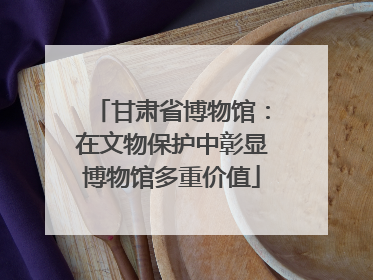 甘肃省博物馆：在文物保护中彰显博物馆多重价值