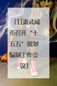 甘肃武威市召开“十五五”规划编制工作会议