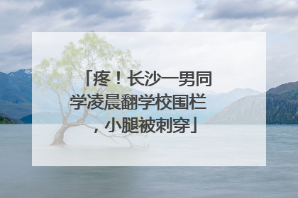 疼！长沙一男同学凌晨翻学校围栏，小腿被刺穿
