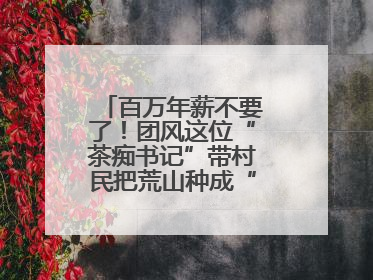 百万年薪不要了！团风这位“茶痴书记”带村民把荒山种成“绿色银行”