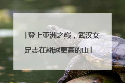 登上亚洲之巅，武汉女足志在翻越更高的山