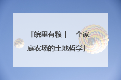 皖里有粮｜一个家庭农场的土地哲学