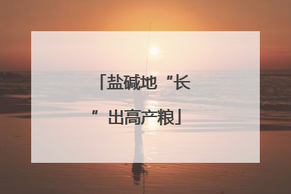 盐碱地“长”出高产粮