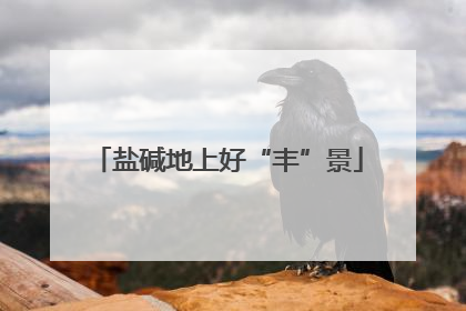 盐碱地上好“丰”景