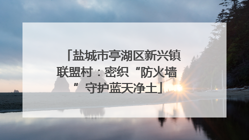 盐城市亭湖区新兴镇联盟村：密织“防火墙”守护蓝天净土