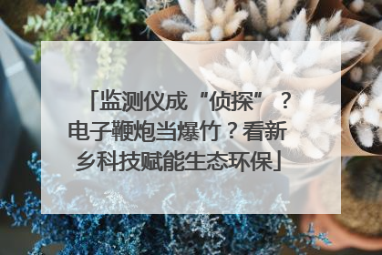 监测仪成“侦探”？电子鞭炮当爆竹？看新乡科技赋能生态环保