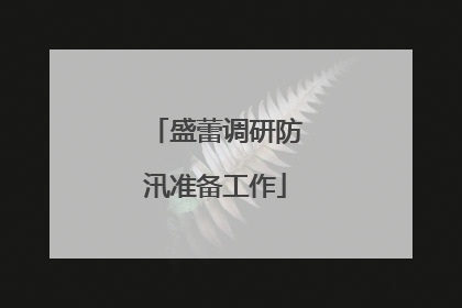 盛蕾调研防汛准备工作