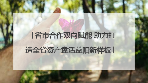 省市合作双向赋能 助力打造全省资产盘活益阳新样板