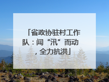 省政协驻村工作队：闻“汛”而动，全力抗洪
