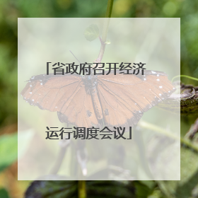 省政府召开经济运行调度会议