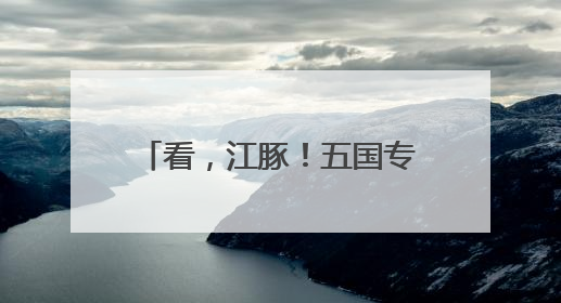 看，江豚！五国专家南京江边考察邂逅“微笑天使”