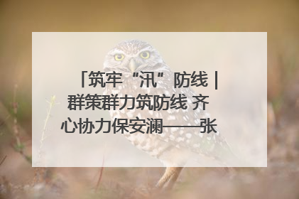 筑牢“汛”防线｜群策群力筑防线 齐心协力保安澜——张家界高新区上下众志成城迎战汛情