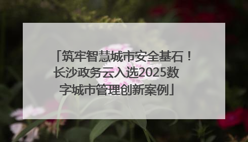 筑牢智慧城市安全基石！长沙政务云入选2025数字城市管理创新案例