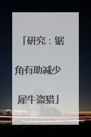 研究：锯角有助减少犀牛盗猎