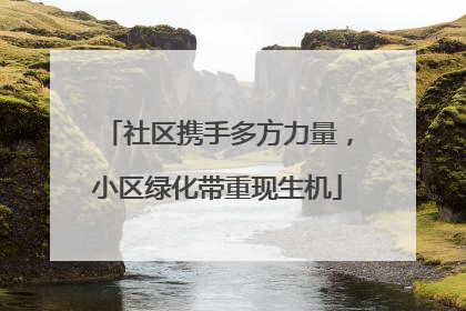 社区携手多方力量，小区绿化带重现生机