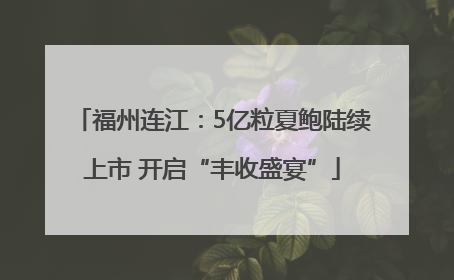 福州连江：5亿粒夏鲍陆续上市 开启“丰收盛宴”