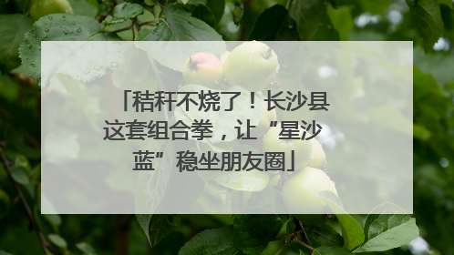 秸秆不烧了！长沙县这套组合拳，让“星沙蓝”稳坐朋友圈