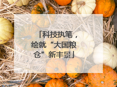 科技执笔，绘就“大国粮仓”新丰景