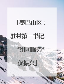 秦巴山区：驻村第一书记“组团服务”促振兴