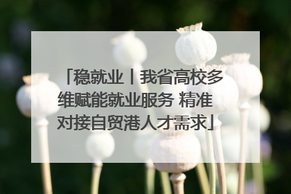 稳就业丨我省高校多维赋能就业服务 精准对接自贸港人才需求