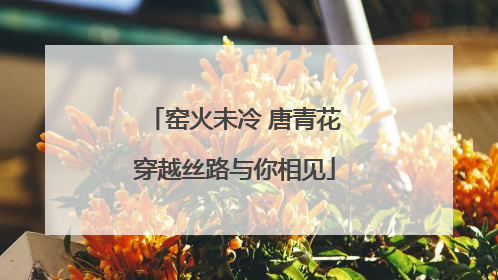 窑火未冷 唐青花穿越丝路与你相见