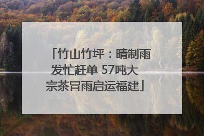 竹山竹坪：晴制雨发忙赶单 57吨大宗茶冒雨启运福建