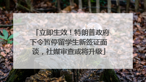 立即生效！特朗普政府下令暂停留学生新签证面谈，社媒审查或将升级
