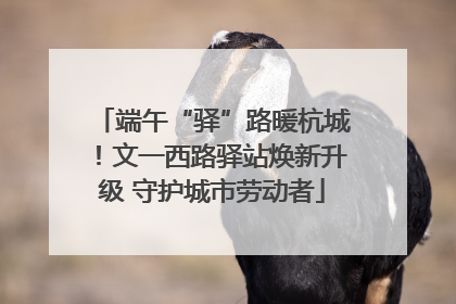 端午“驿”路暖杭城！文一西路驿站焕新升级 守护城市劳动者