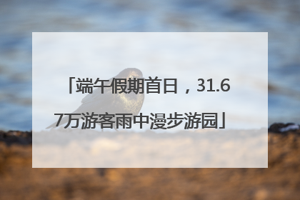 端午假期首日，31.67万游客雨中漫步游园