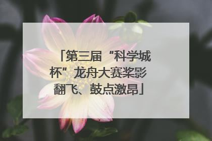 第三届“科学城杯”龙舟大赛桨影翻飞、鼓点激昂